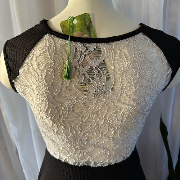 Black and White Lace Dress - Picture 4 of 6